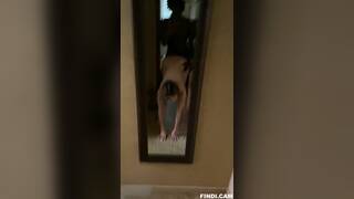 clapping hot white girl at the airbnb