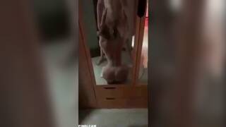 teen sucks off her boyfriend in her parents house