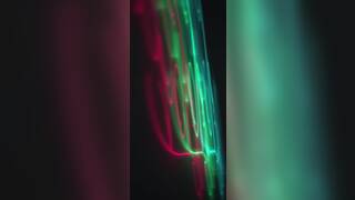 The Perfect Match by Oye Loca Featuring Mells Blanco