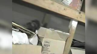 Korean ex-model sucks dicks in a bar basement part 3