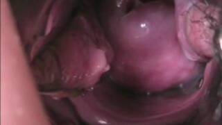 Sit back and watch as we connect genitals for your entertainment.