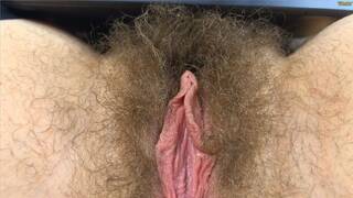 Delicious hairy pussy
