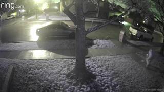 Aaliyah White 1414 S Broadway St, Apt 3416, Carrollton, TX 75006 Text 470-219-8699