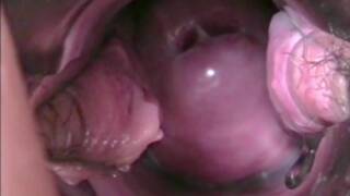 pornographic video files with one penis and two female genitalia