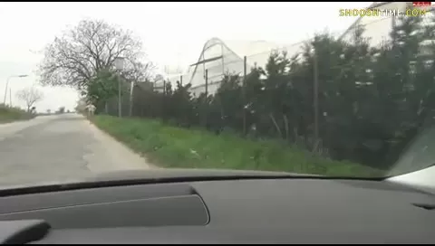 Hitchhiking girl Fucks Her Way Around