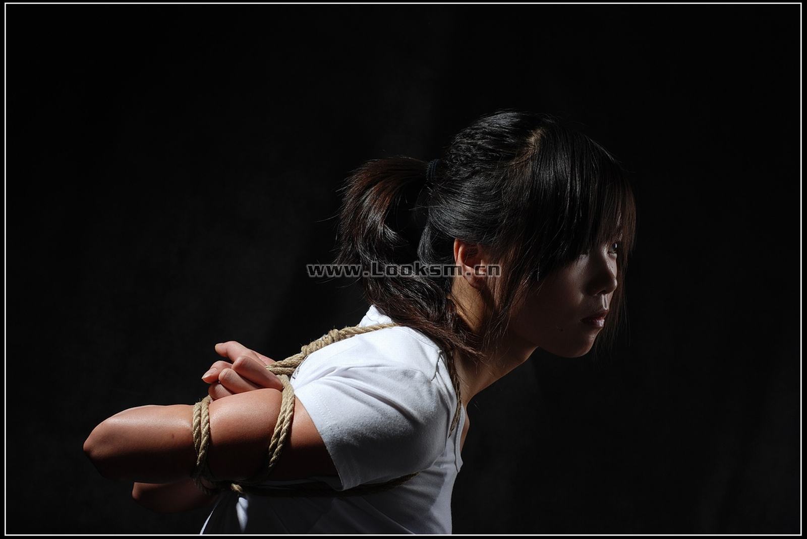 Chinese Rope Model 295