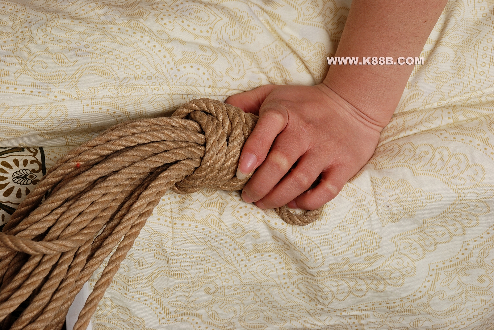 Chinese Rope Model 486-1