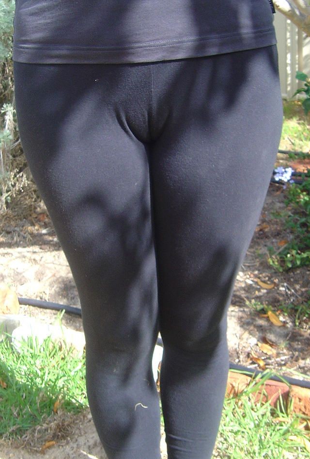 camel toe