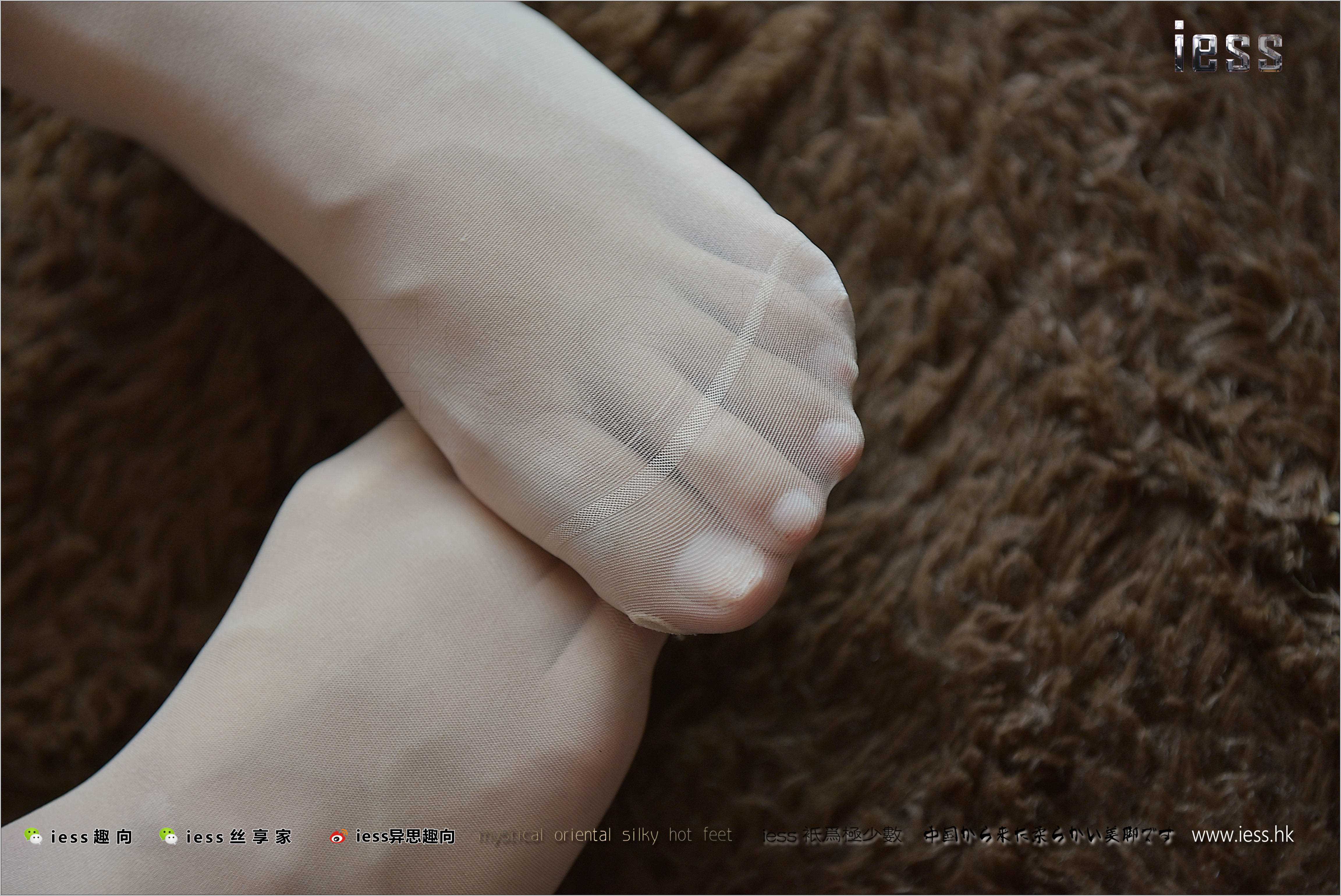 China Beauty Legs and feet 246