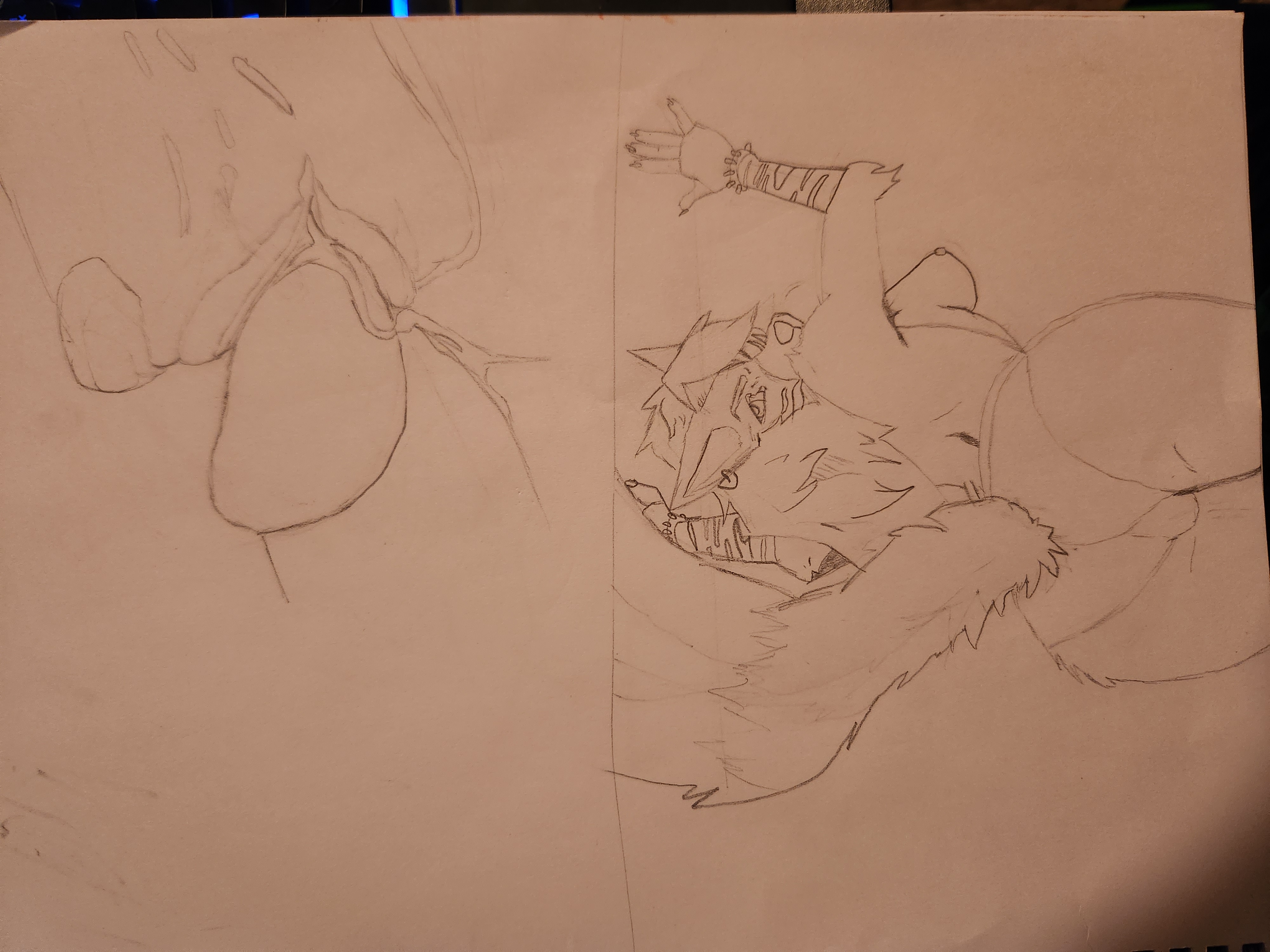 Roxy art