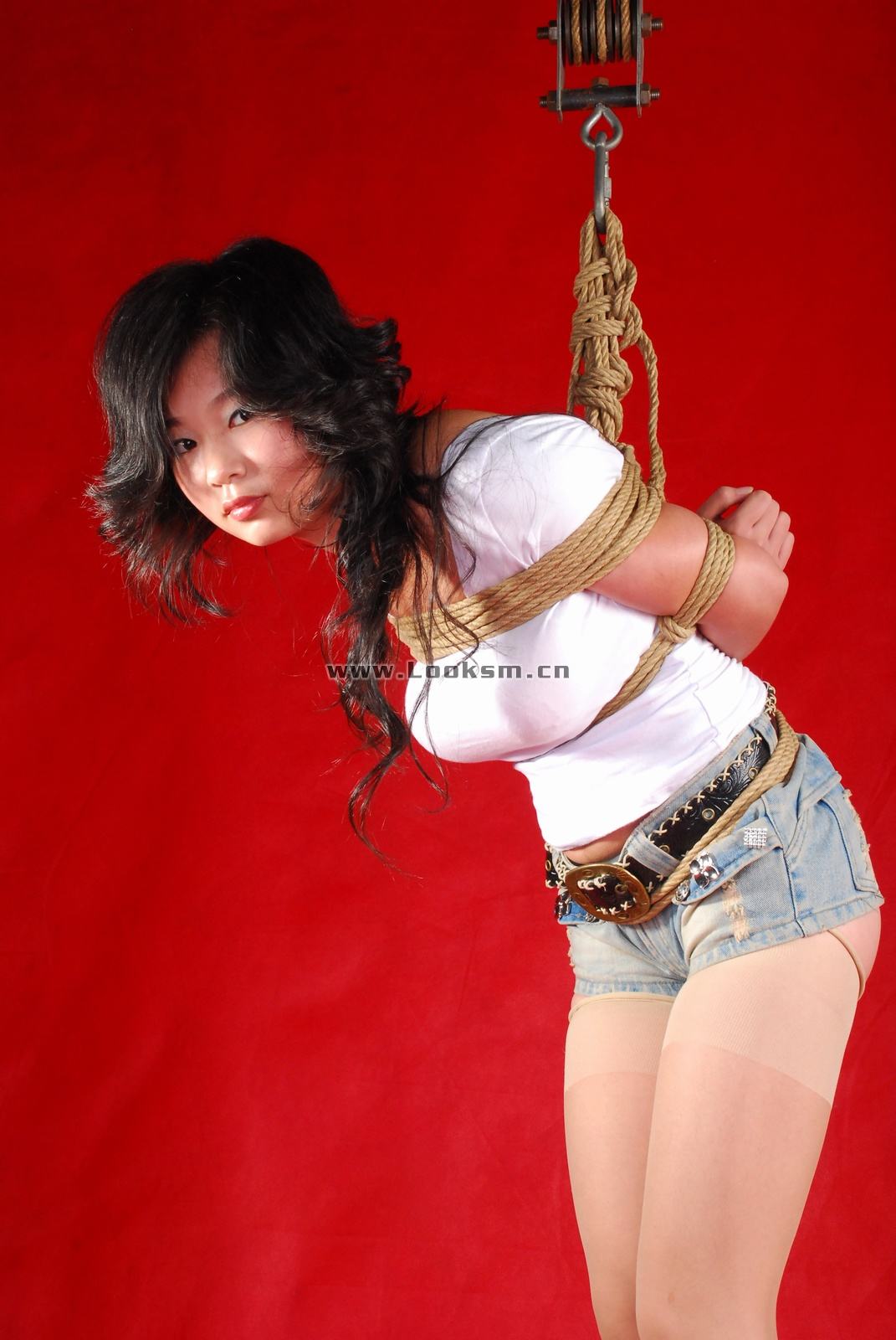Chinese Rope Model 341