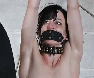 sex slaves and bondage 1