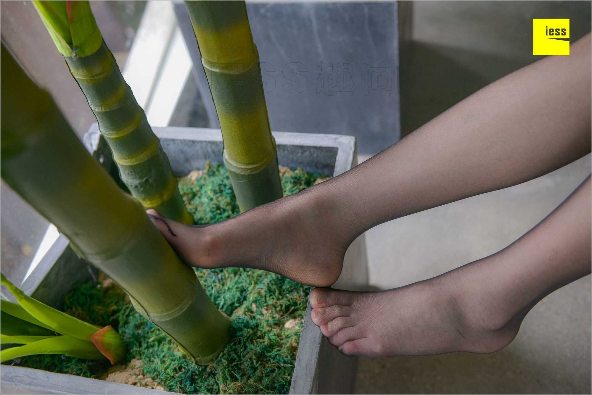 China Beauty Legs and feet 537