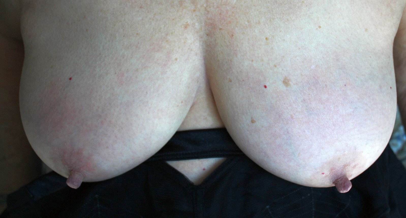 If my tits make you hard, Just Jerk Off!