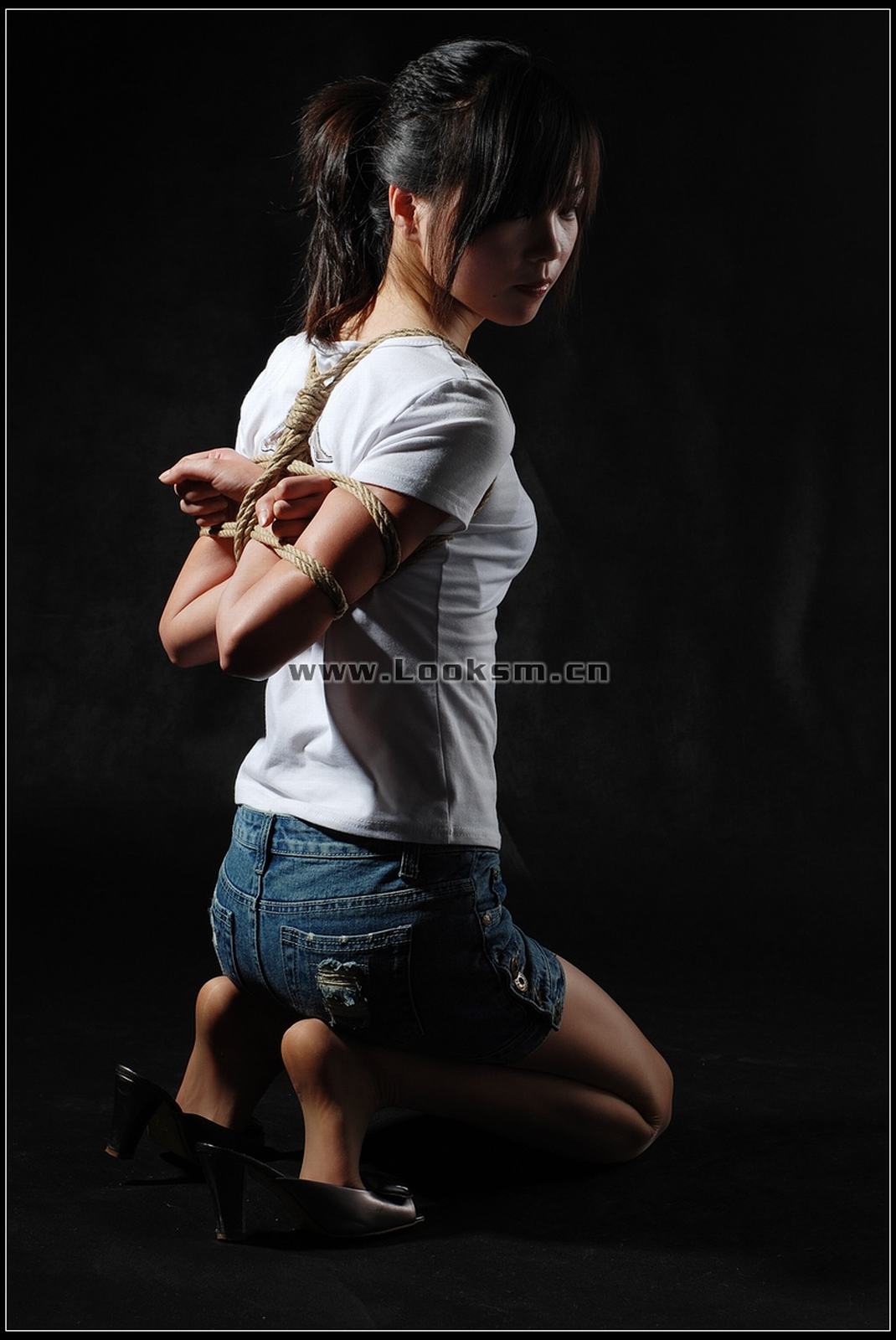 Chinese Rope Model 295