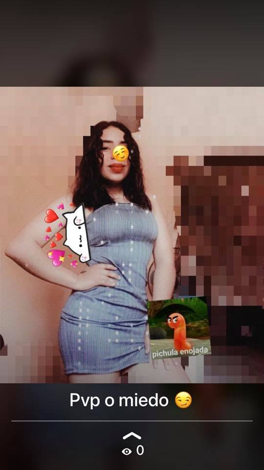 Toledo Morales Karina