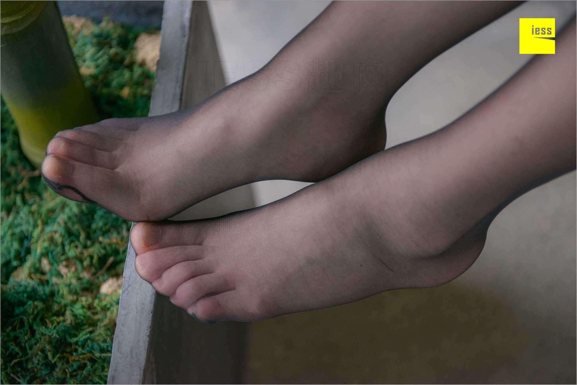 China Beauty Legs and feet 537