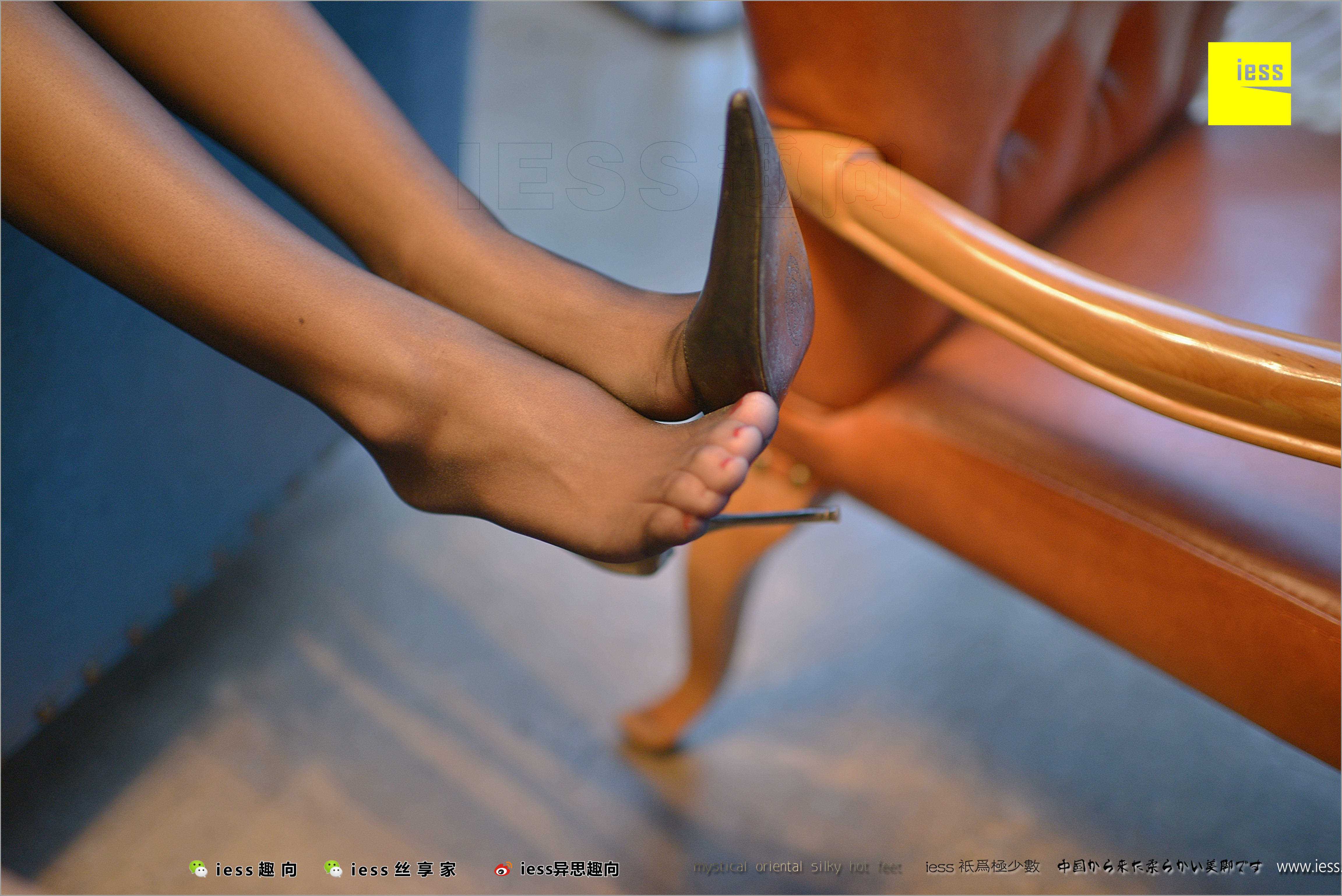 China Beauty Legs and feet 486