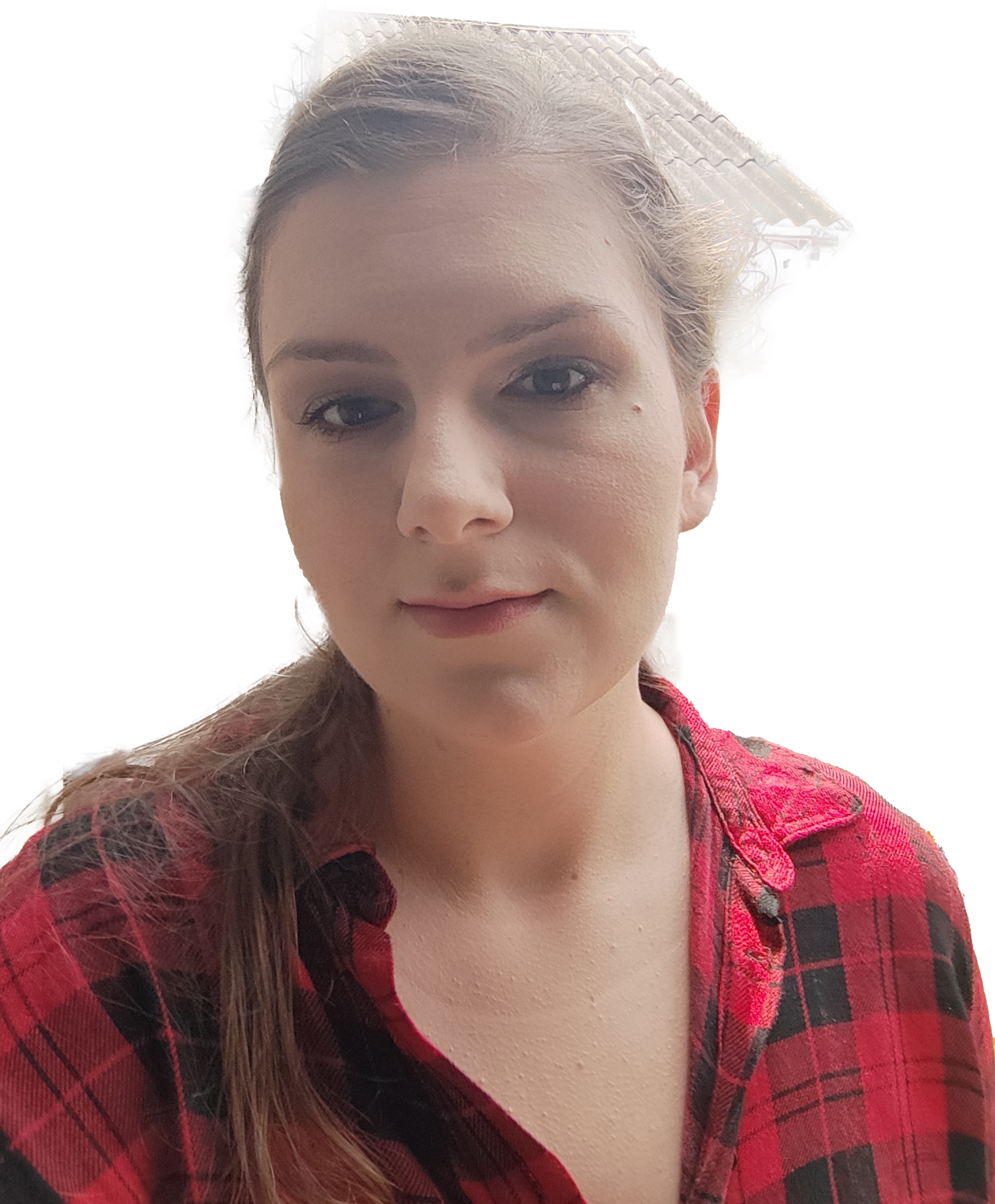 tribute to my photo please