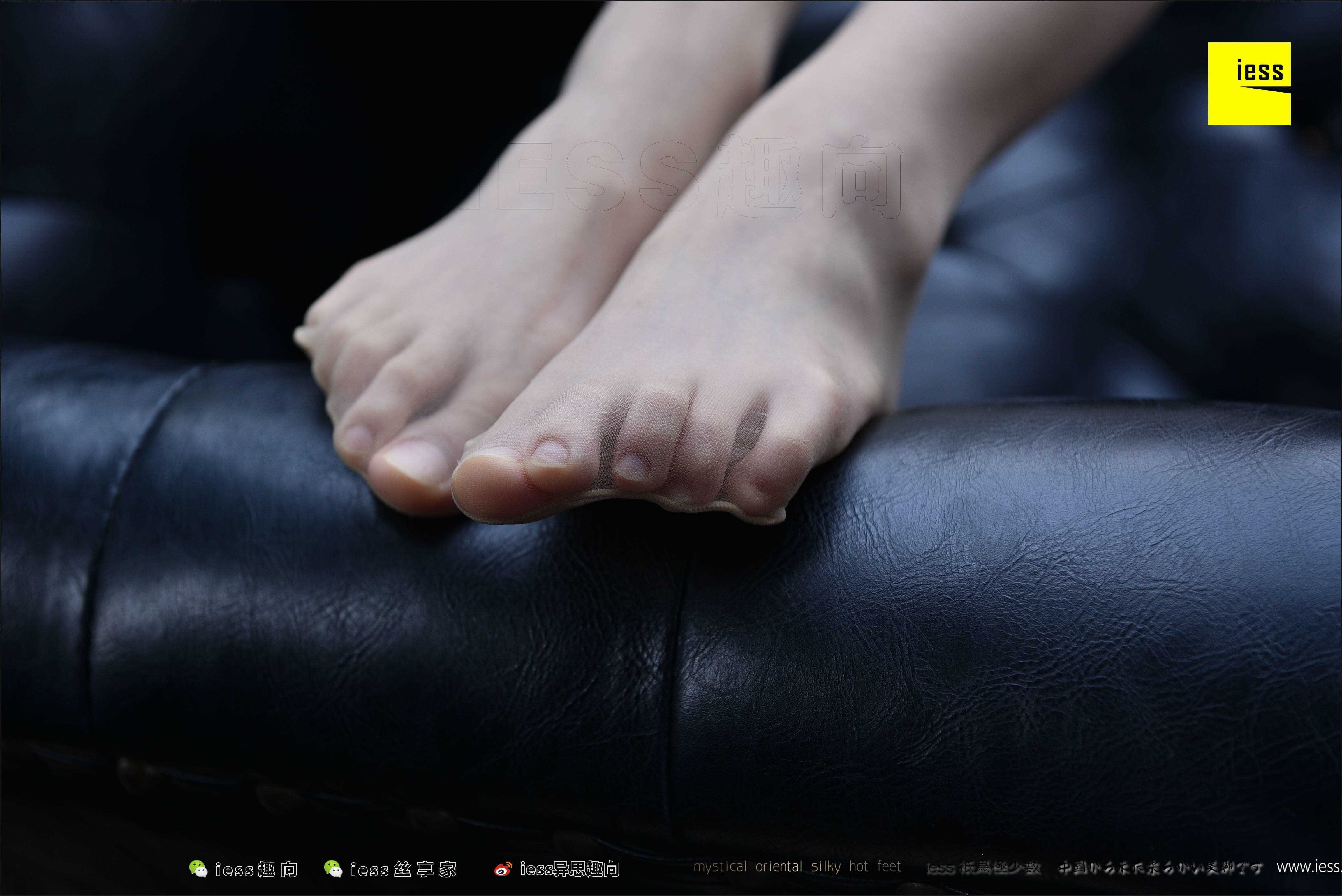 China Beauty Legs and feet 494