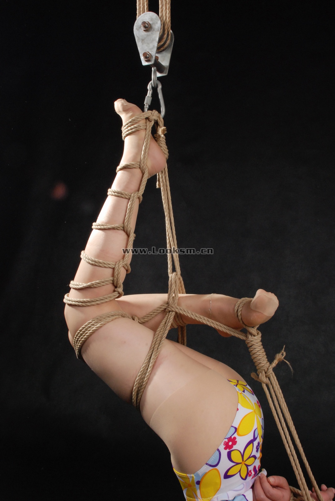 Chinese Rope Model 336