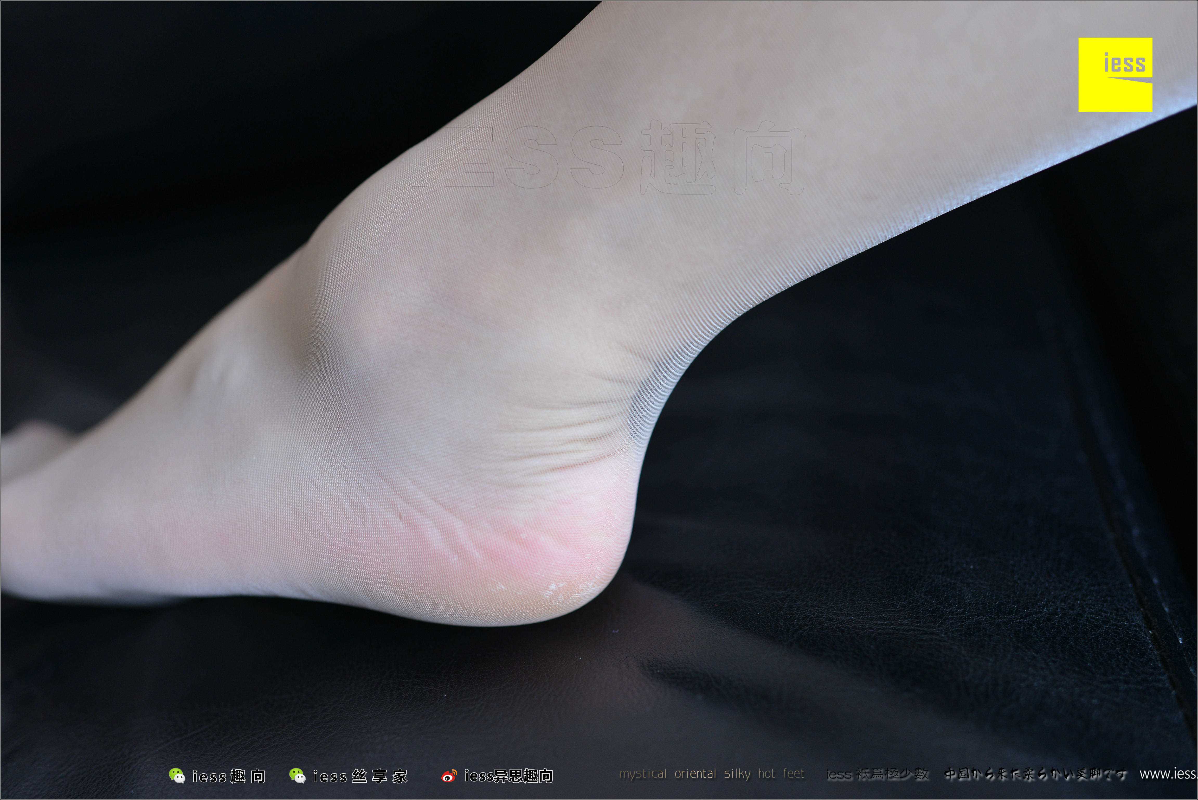 China Beauty Legs and feet 484