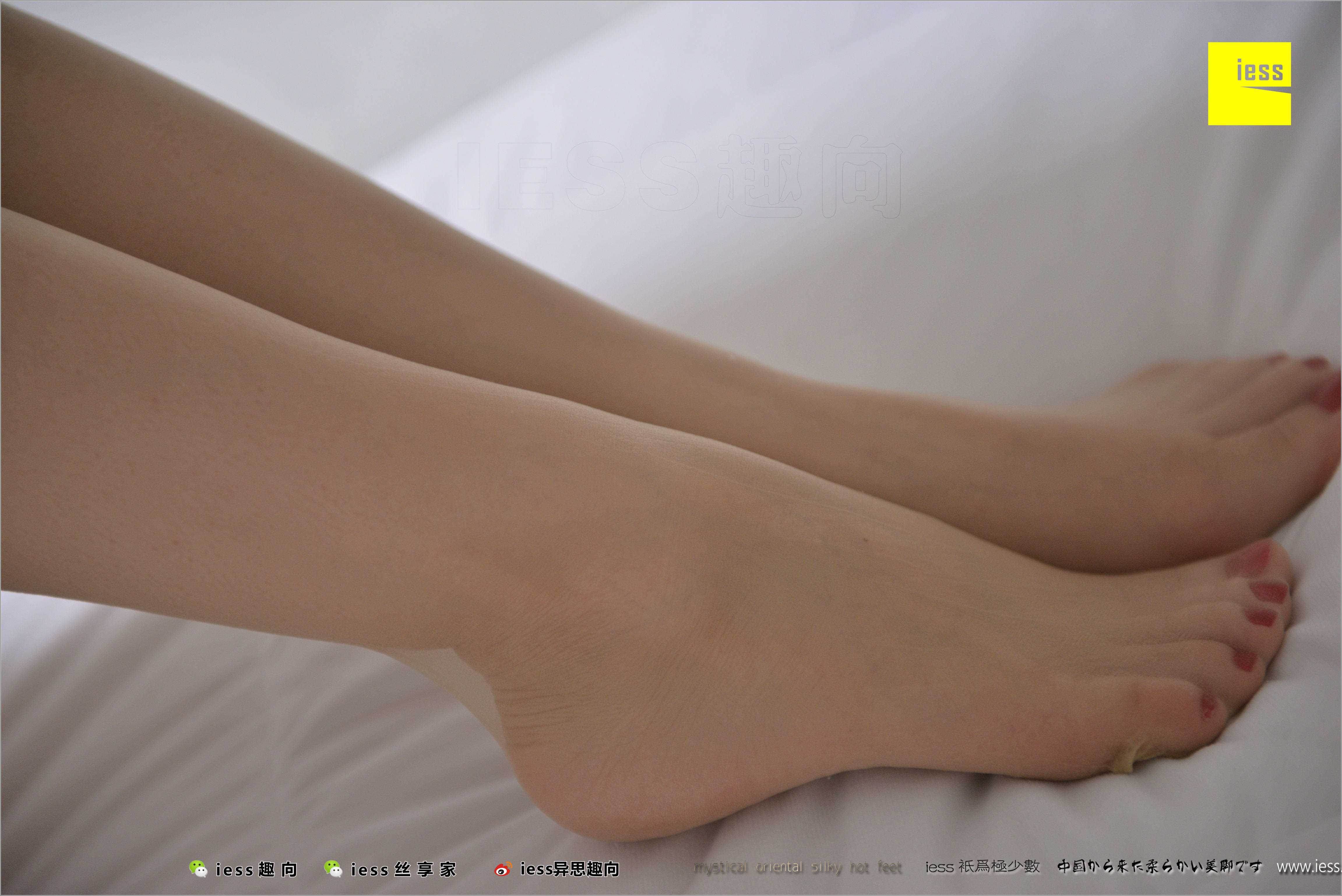 China Beauty Legs and feet 499