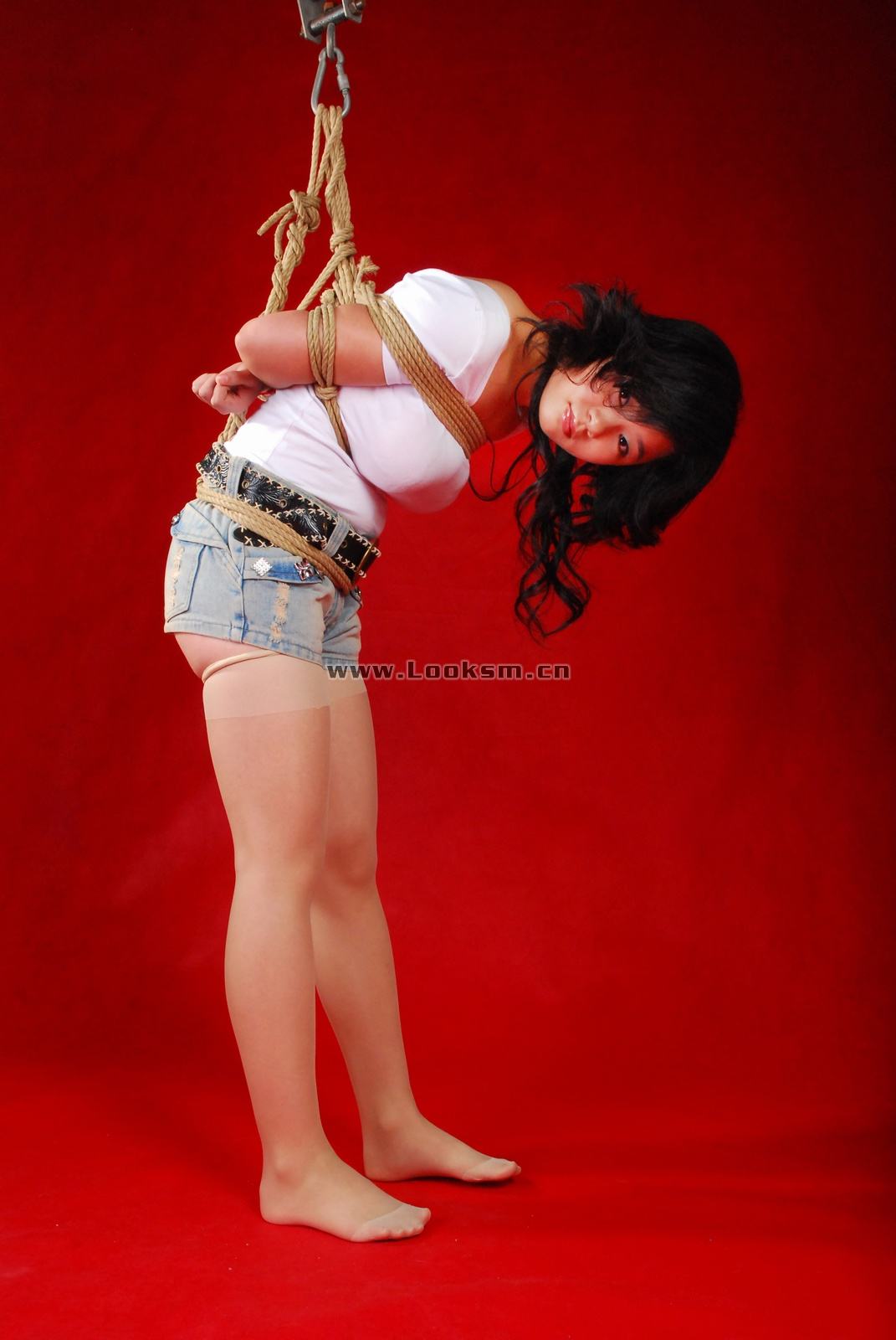 Chinese Rope Model 341