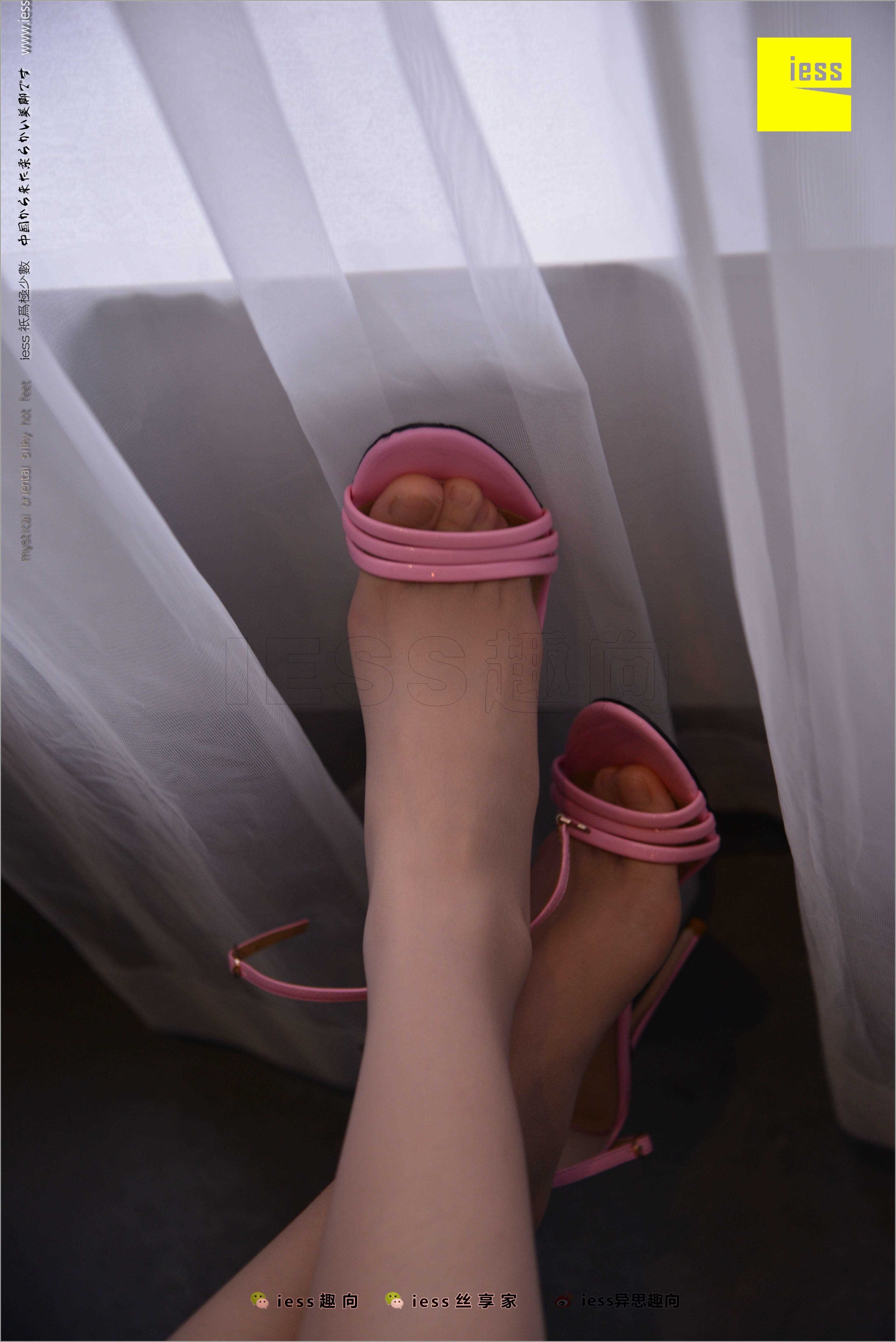 China Beauty Legs and feet 483