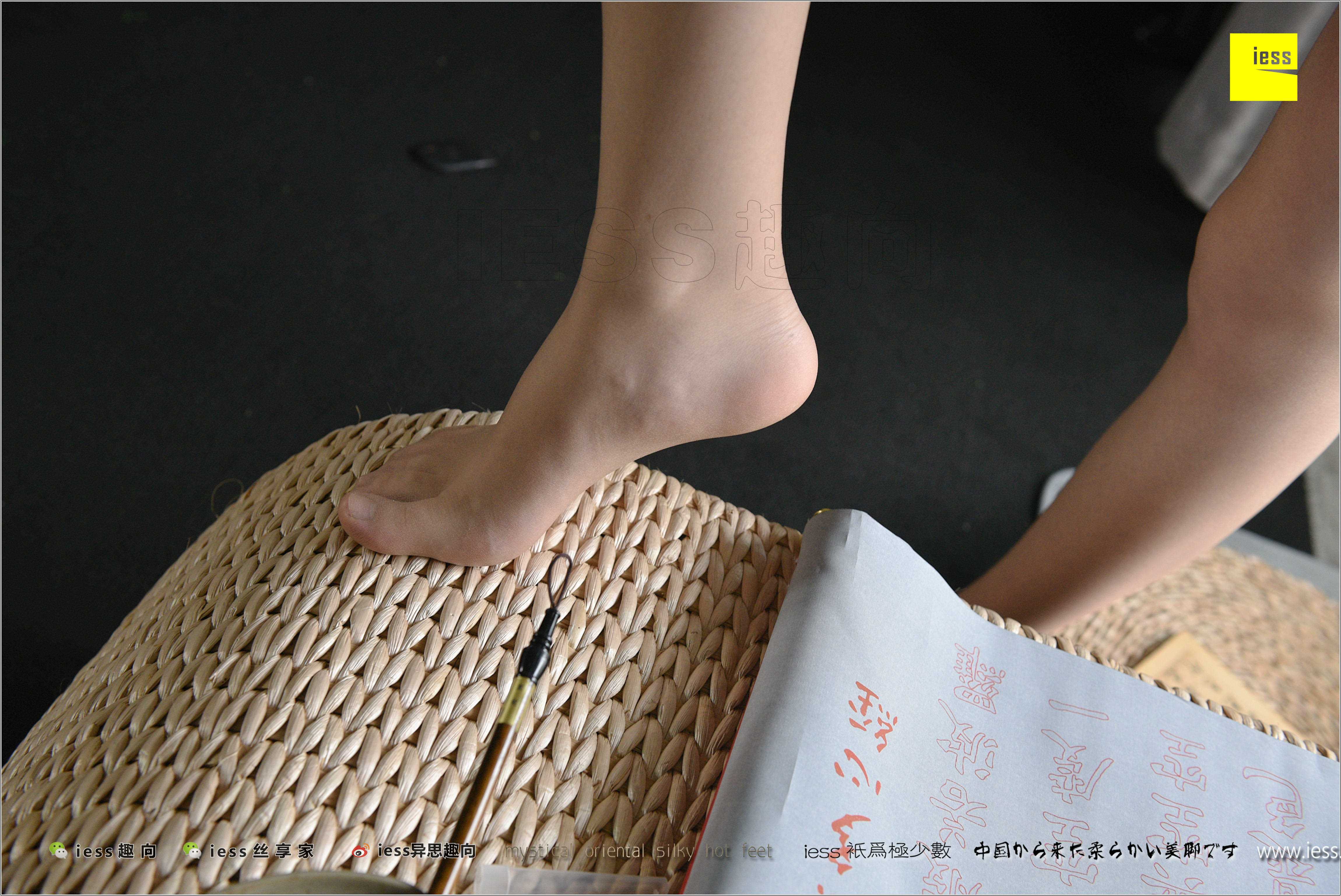 China Beauty Legs and feet 480