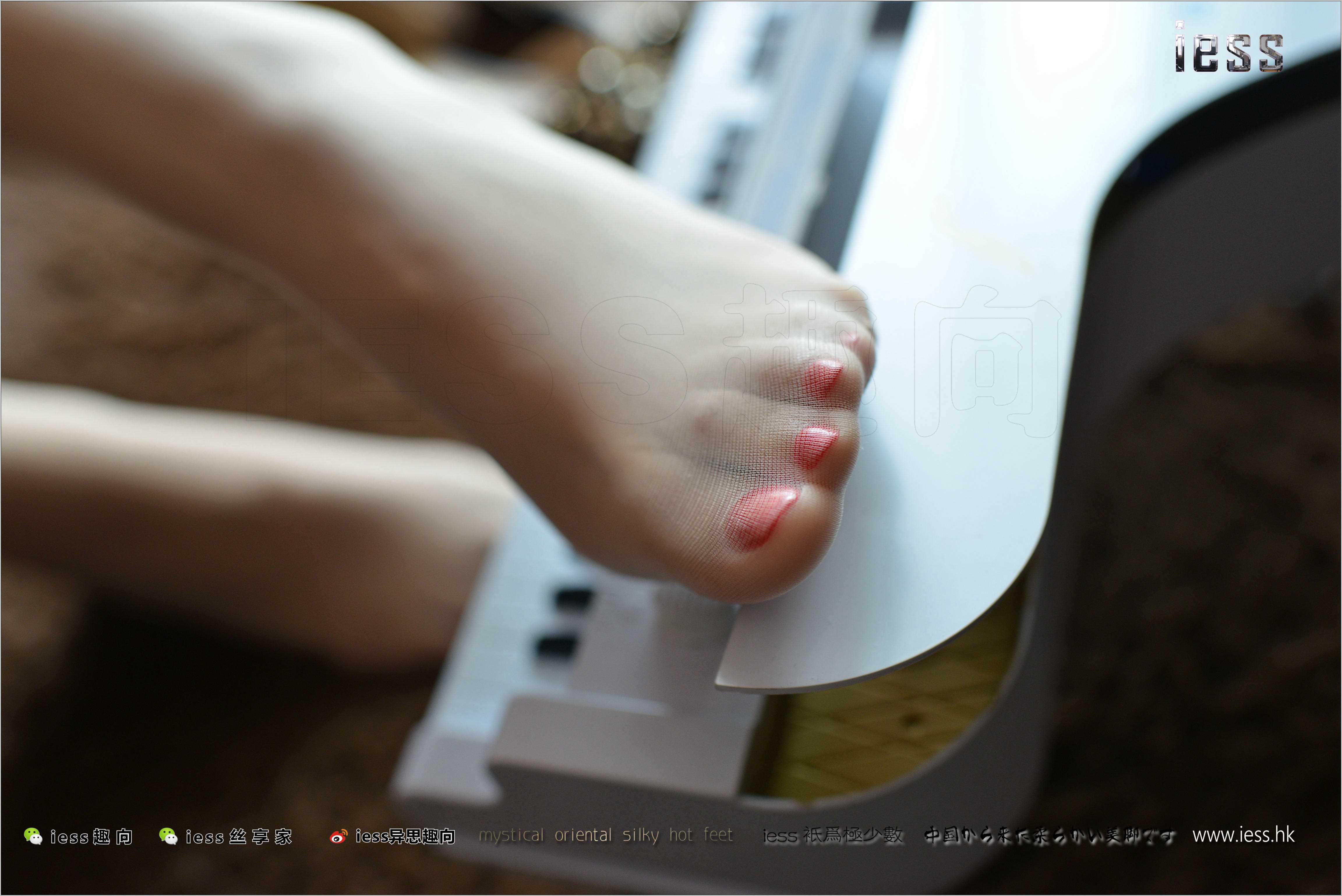 China Beauty Legs and feet 239