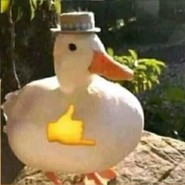 Cute duck (this is stupid sorry)